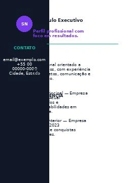 Preview de Currículo Executivo 01