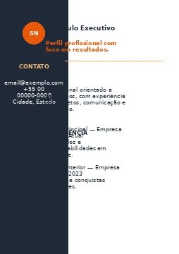 Preview de Currículo Executivo 05