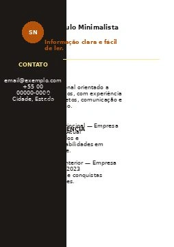 Preview de Currículo Minimalista 07
